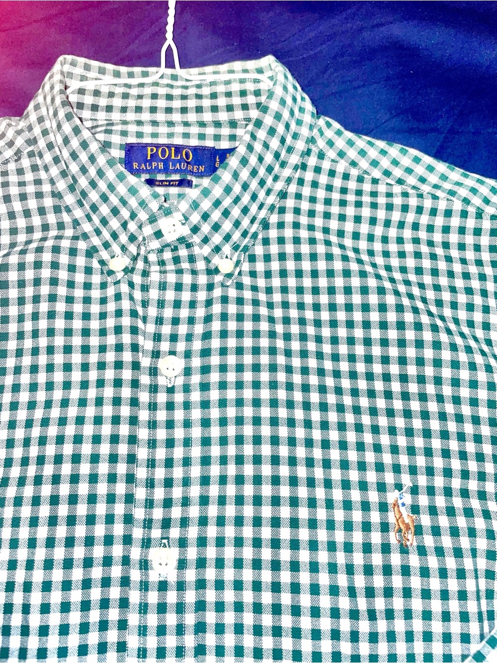 Polo Ralph Lauren, Green & White Gingham Button-Down Shirt